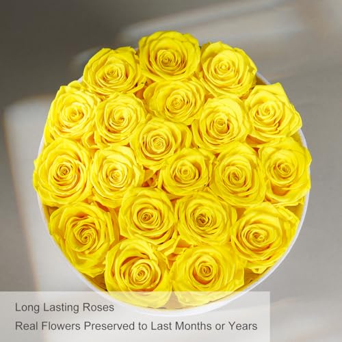 Gifts for Women Preserved Roses Flower Box, Luxury Velvet Box with 20 Roses, Preserved Flowers, Romantic Gift for Her, Wif...