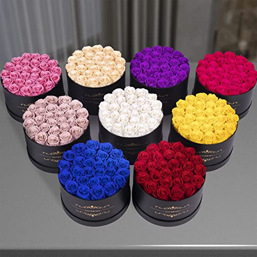 NATROSES Gifts for Her 27 Piece Forever Preserved Roses in a Box, Preserved Flowers for Delivery Birthday, Flowers Gifts f...