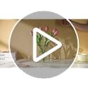 Puransen Clear Bookend Vase for Flowers - Aesthetic Room Decor for Modern Home/Office, Minimalist Shelf Organizer with Flo...