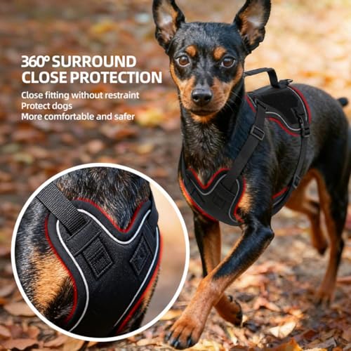 Tactical Dog Harness and Leash Set for Small Dogs - Military Puppy Vest Harness with Patches Vertical Handle Reflective Pe...