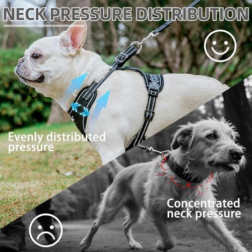 PUPTECK Dog Harness and Leash Set Small Sized, Adjustable Reflective Escape Proof Puppy Vest, No Pull Walking Harness Easy...