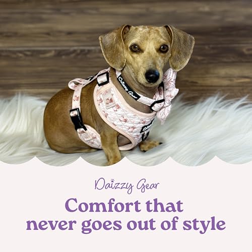 Small Dog Harness Set – Cute No Pull, All Weather, Breathable Harness and Leash Set with Collar, Bandana, Sailor Bow & Poo...