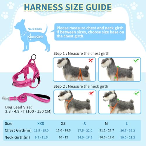 SlowTon No Pull Small Dog Harness and Leash Set, Puppy Soft Vest Harness Neck & Chest Adjustable, Reflective Lightweight H...
