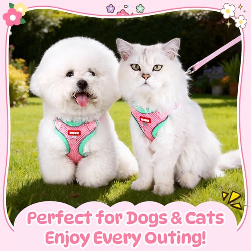 Coppthinktu Dog Harness with Leash Set for Small Sized Dogs Cats, No Pull Dog Harness Soft Mesh Cat Puppy Harness, Adjusta...