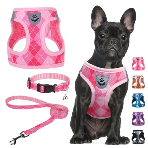 SCENEREAL Small Dog Harness and Leash Collar Set, Step in No Pull Soft Mesh Dog Harnesses for Small Medium Sized Dogs Pupp...