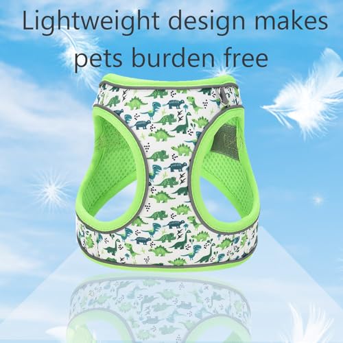 XS Dog Harness and Leash Set, Step in Dog Harness No Pull for Walking Running Training, Puppy Essentials for Dogs Cat Bunn...