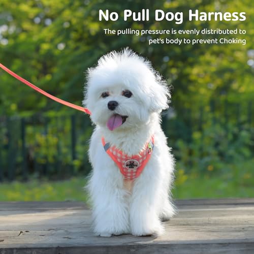 Gyuzh Dog Harness and Leash Set,Soft Mesh Breathable Small Dog Harness,Reflective Adjustable Puppy Harness,No Pull Pet Har...