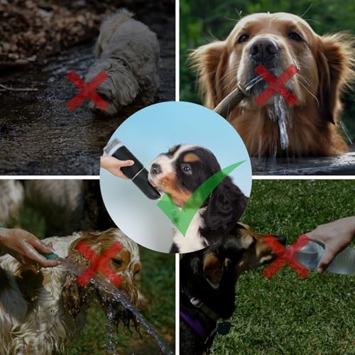 Dog Water Bottle Portable Stainless Steel Leak Proof Wide Mouth BPA Free Water Dispenser for Medium Small Dogs Pups 2 in 1...