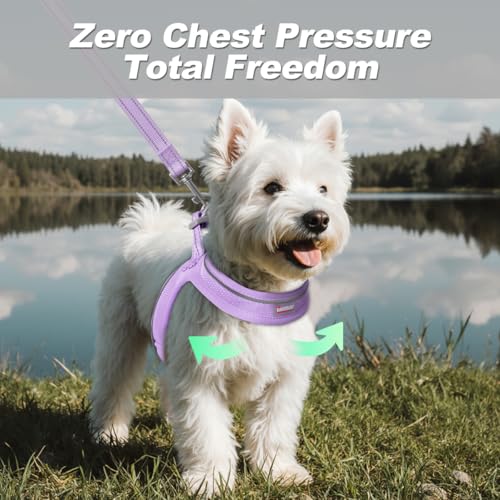 Dog Harness and Leash Set,Step in Small Sized Dog Harness,Soft Mesh,No-Chock,Reflective Adjustable,Secure with Hook & Loop...