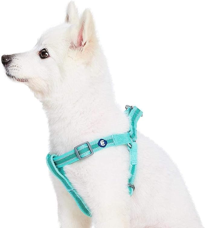 Blueberry Pet Essentials Step-in Reflective Back to Basics Dog Harness, Minty Green, Chest Girth 20" - 26", Medium, Adjust...
