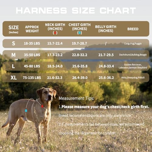 Dog Harness for Large Dogs Heavy Duty, No Pull Tactical Dog Harness with Molle System, Easy On and Off Service Dog Vest, B...