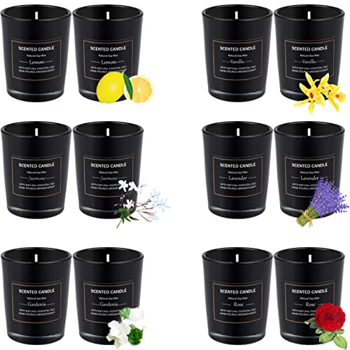 EUPNHY 12 Pack Scented Candles Gift Set 2.5oz Strong Fragrance Aromatherapy Jar Candle Set Soy Wax Decorative Candles for ...