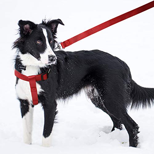 No Pull Dog Harness - Adjustable Step-in Harness & Leash Set for Small, Medium, Large Dogs - Escape Proof Soft Pet Harness...