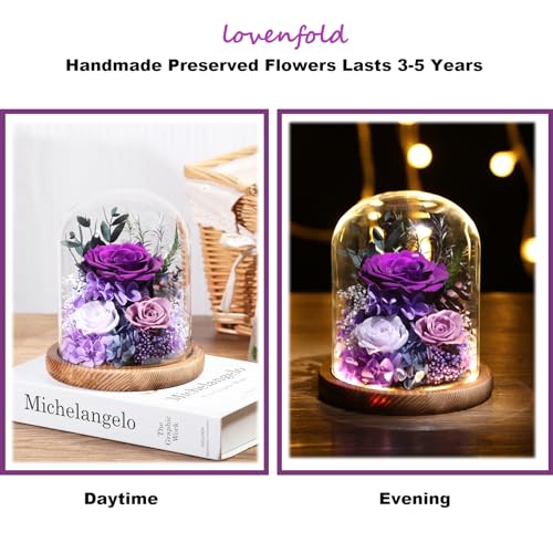 lovenfold Flowers for Delivery Preserved Rose Gifts for Women,Long-Lasting Forever Flowers in Glass Dome, Birthday Gifts f...
