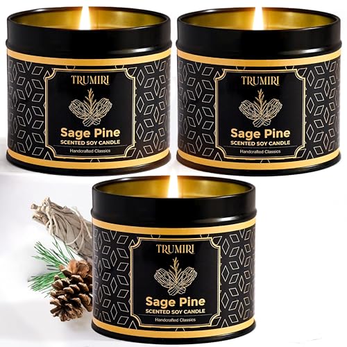 Sage & Pine Candle Strong Scented Soy Candel Natural Non Toxic Velas Aromáticas for Home Gift for Fall Christmas Holidays ...