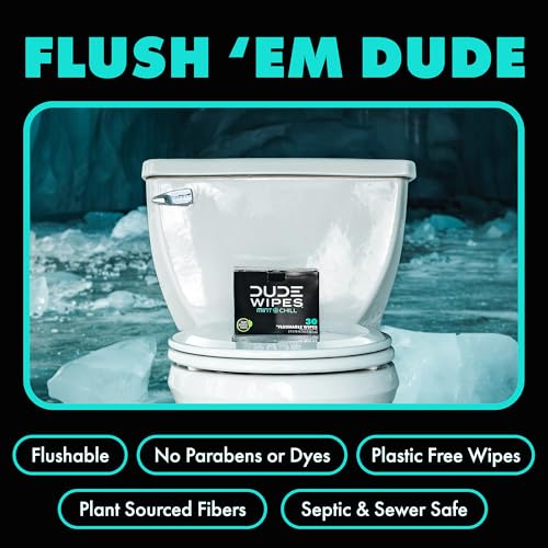 DUDE Wipes On-The-Go Mint Chill Travel Wipes - 30 Count (Individually Wrapped) - Extra-Large Adult Flushable Wipes - Infus...