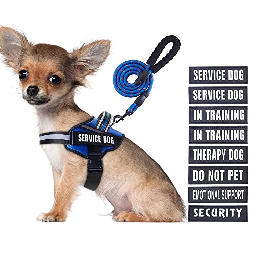 Service Dog Vest Harness and Leash Set, Animire in Training Dog Harness with 10 Dog Patches, Reflective Dog Leash with Sof...