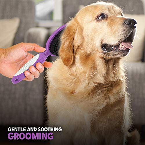 Soft Bristle Dog Brush For Short Haired Cats Or Dogs - Firm Bristles To Remove Dust, Dirt, And Loose Fur - Hook And Rubber...