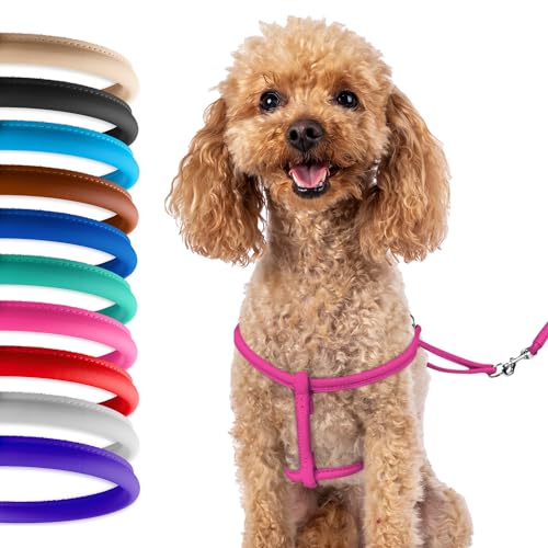 CollarDirect Rolled Leather Dog Harness Small Puppy Step-in Leash Set for Walking Pink Red White Blue Green Black Purple B...