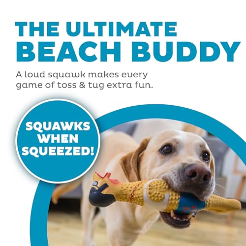 Outward Hound by Charming Pet Squawkers Earl Latex Squeaky Rubber Chicken Dog Toy, Funny Interactive Holiday Toy for Dogs,...