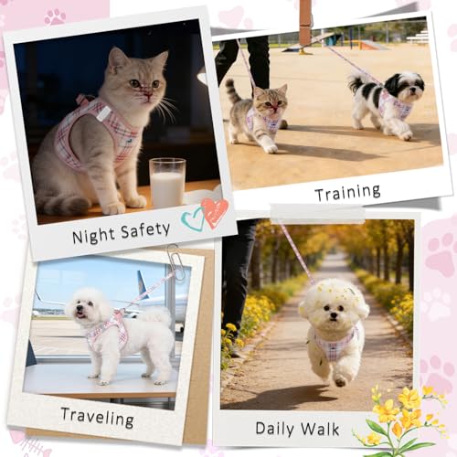 Gyuzh Small Dog Harness and Leash Set for Puppy & Kitten - 3-in-1 No Pull Step in Vest Collar, Lightweight Reflective Plai...