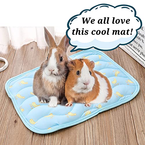 Jevnd 2Pcs Small Animals Cooling Mat, Guinea Pig Cooling Sleeping Pad, Rabbit Cool Pad, Breathable Small Pet Self Hot Day ...