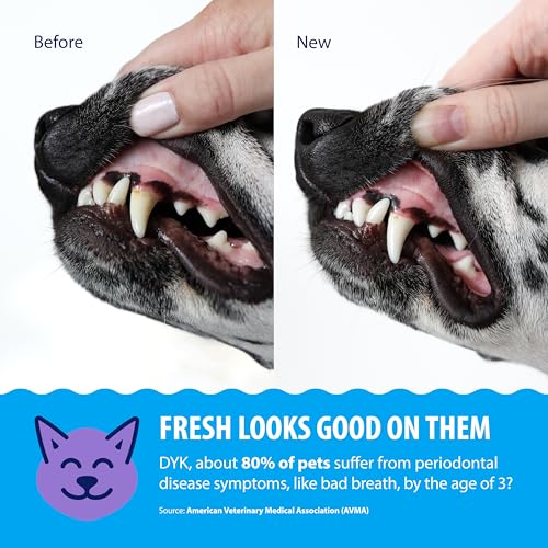 Dental Fresh Water Additive for Dogs and Cats, Clean Teeth and Fresh Breath, Daily Pet Oral Care, Flavorless, 32 fl oz