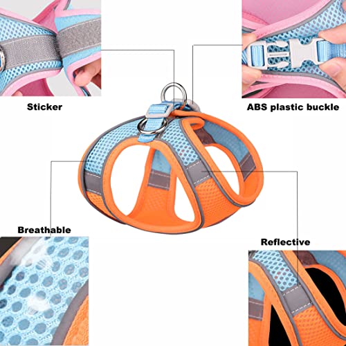 Small Dog Harness and Leash Set, No-Pull Puppy Harness for Outdoor Walking, Breathable Mesh Reflective Cats Vest for XXS X...
