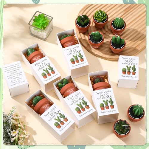 Lyrow 12 Sets Employee Appreciation Gift Cactus Tealight Candles Set Mini Handmade Succulent Candle Planter with Matchbox,...