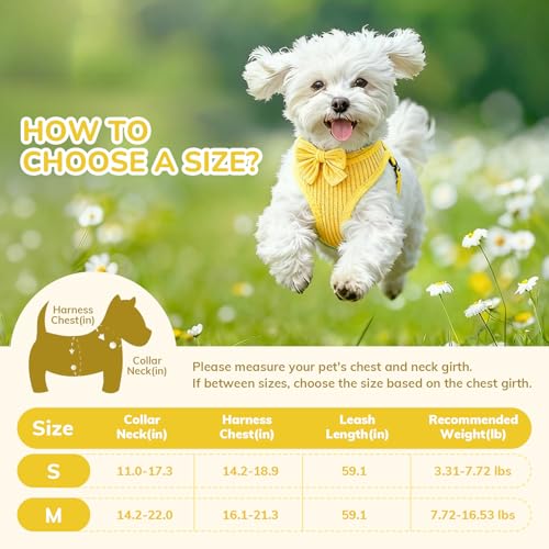 Small Dog Collar Harness and Leash Set, Dog Harness no Pull with Bowtie, Breathable Cotton Adjustable Pet Puppy Harness, E...