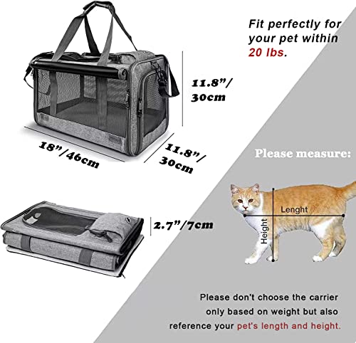 GAPZER Pet Carrier for Large Cats, Soft-Sided Cat Carrier for Medium Big Cats and Puppy up to 20lbs, Washable Dog Carrier ...