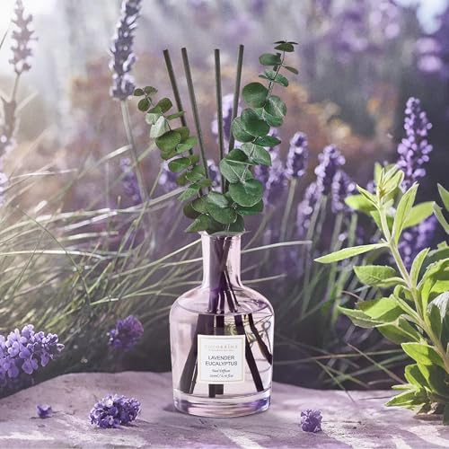 COCORRÍNA Lavender Eucalyptus Reed Diffuser – 6.76 oz Essential Oil with 8 Reeds & Real Eucalyptus Sticks, Home Fragrance ...