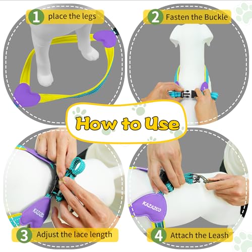 Kazazoo No Pull Small Dog Harness and Leash Set, Adjustable Puppy Soft Vest Harness with Breathable Mesh Padded, Reflectiv...