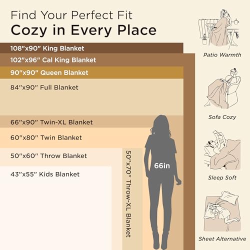 Bedsure GentleSoft Fleece Bed Blankets Queen Size Grey - Soft Warm Spring Blanket Lightweight Cozy Anti-Static Microfiber,...