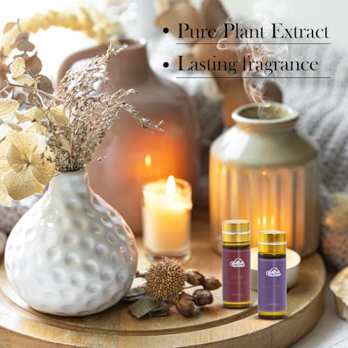 Fragrance Essential Oils Set - 14pcs, Aromatherapy Oils for Skin, Diffusers, Home Care, Humidifier Laundry, Candle Making...