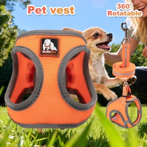 Dog Harness Medium Sized Dogs, Puppy Harness and Leash Set for Training, Running, Walking, Suitable for Small and Medium D...