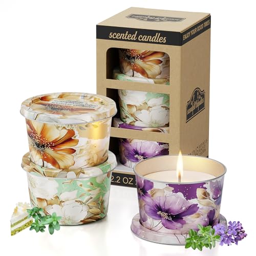 3-Pack Aromatherapy Candle Set - Travel-Size Scented Candles 2.5 oz Each | 10+ Hour Relaxing Long-Lasting Burn | Fragrant ...