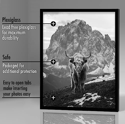 Americanflat 16x20 Picture Frame with Polished Plexiglass - Set of 5 - Galleria Collection - Picture Frames for Wall Displ...