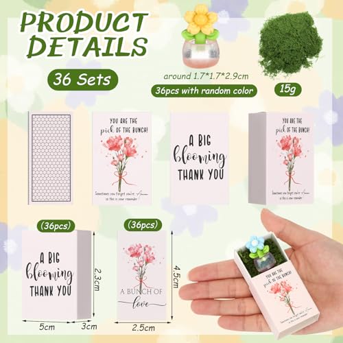 Wonderjune 36 Sets Employee Appreciation Gift Luminous Flowerpot Bulk Emotional Support Gift Box with Inspirational Card M...