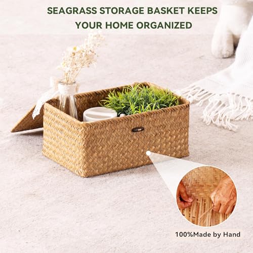 Nonam Storage Basket with Lid, Natural Seagrass Bin with Lid Set of 3, Shelf Baskets Multipurpose Container for Boho Decor...