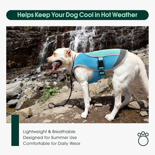 Kuoser Dog Cooling Vest for Summer, Lightweight Dog Cooling Harness Shirt with Breathable Mesh, Reflective Cooler Jacket P...