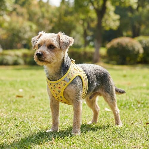 Mihqy Step in Dog Harness and Leash Set, Reflective Adjustable No Pull Dog Harness for Extra-Small/Small Dogs Puppy and Ca...