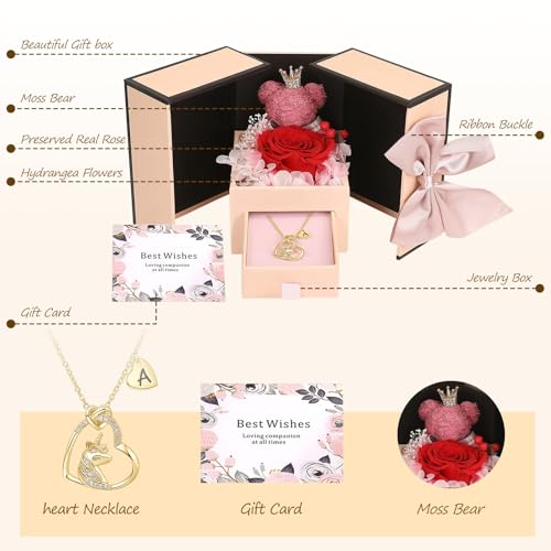 Mealcon Preserved Rose Bear Gift Box with Initial Necklace Real Eternal Flowers Romantic Gift for Women on Birthday Annive...
