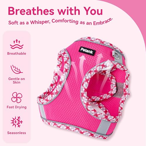 Petank Dog Harness for Small Medium Dogs No Pull, Puppy Harness and Leash Set, Step in Dog Harness for Walking, Running, T...
