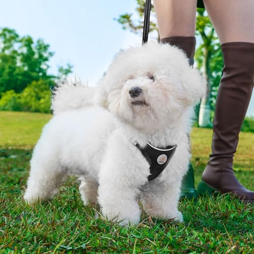 Hipubby Dog Harness and Leash Set, No Pull Soft Mesh Puppy Harness for Small Medium Dogs, Cats - Step in Reflective Breath...