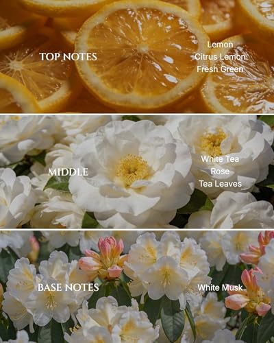 Aromadd Aromadd White Tea Diffuser Oil Inspired by Luxury Hotel Scent, Essential Oils for Waterless Diffuser, White Tea & ...
