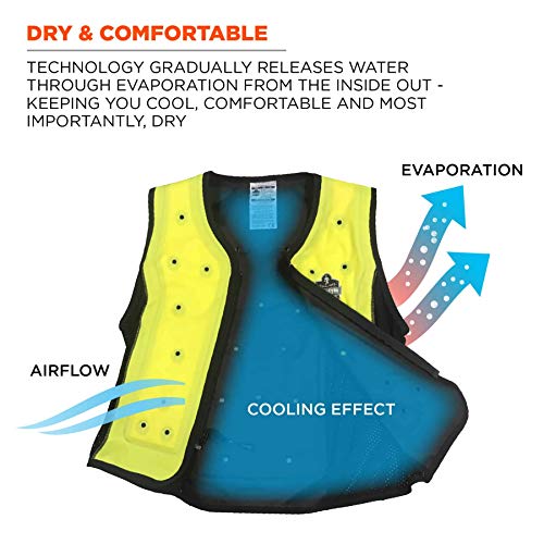 Ergodyne Chill-Its 6685 Evaporative Cooling Vest, Wearer Stays Cool and Dry, Breathable Comfort, Zipper Closure Large, Large