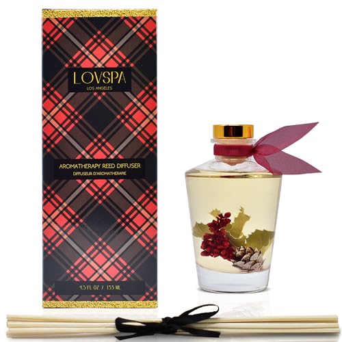 LOVSPA Reed Diffuser Set, Holiday Red Currant & Woods Scented Oil Diffuser with Sticks, Home Fragrance Accessories for Bat...