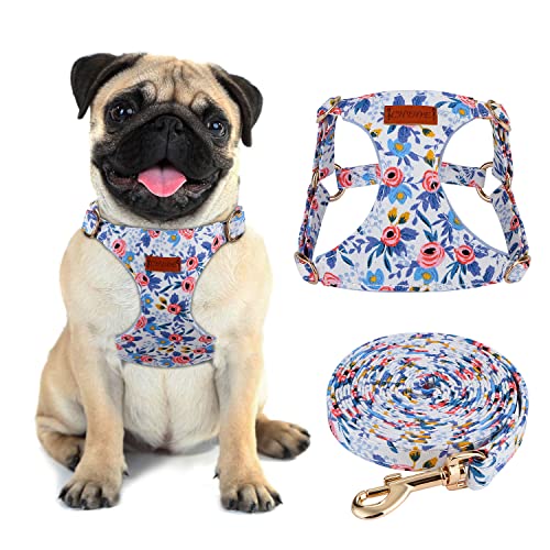 CHEDE No Pull Floral Pattern Dog Harness- Lightweight and Soft Harness, Adjustable Small Dog Harness and Leash Set, with D...