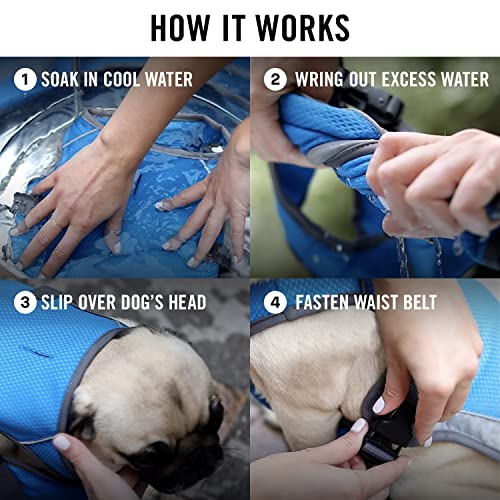 Canada Pooch Dog Cooling Vest - Evaporative Cooling Vest for Dogs with Breathable Mesh Material & Reflective Lining, Adjus...